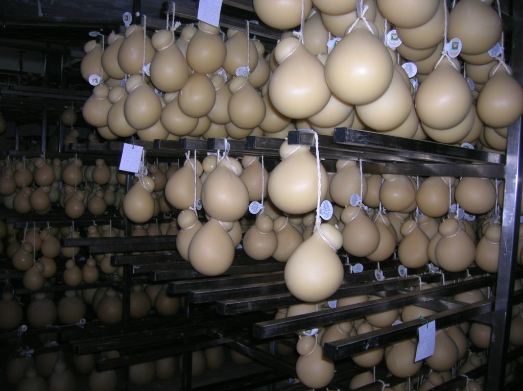 Cheese factory