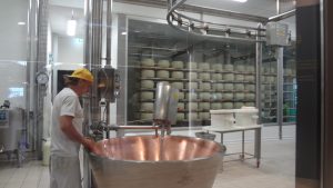 FICOイータリー・ワールド パルミジャーノチーズ作り