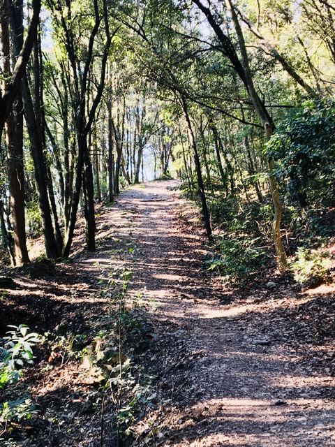 トスカーナ チェチェリ山